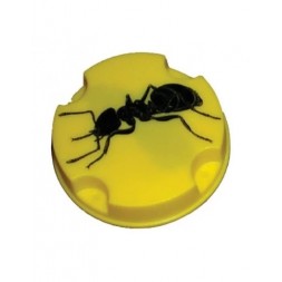 Anti fourmis boite de 10g - MASY