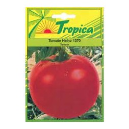 Graine de Tomates à Fruit rond 2gr - TROPICA