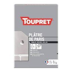 Poudre de plâtre Paris blanc 1KG - TOUPRET