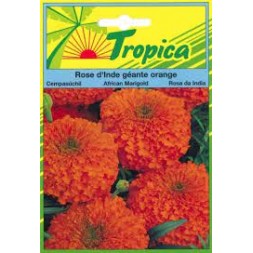 Graine Rose d'Inde orange 150gr - TROPICA