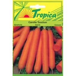 Graine de carotte Touchons 6gr - TROPICA