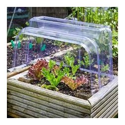 Cloche de jardinage transparente - SMART GARDEN