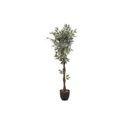 Ficus artificiel bicolor 120cm