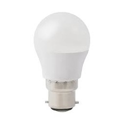 Ampoule LED globe B22 15W 6500K