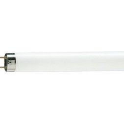 Tube néon fluo 600mm 18W (DEEE 0.13€)