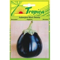 Graine Aubergine Black Beauty ronde 2gr - TROPICA