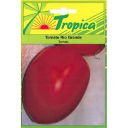 Graine de Tomate Rio Grande 2gr - TROPICA